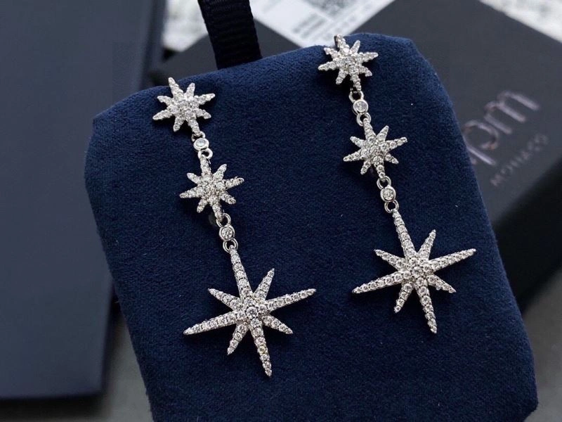 MoistureWicking Apm Earrings 215380