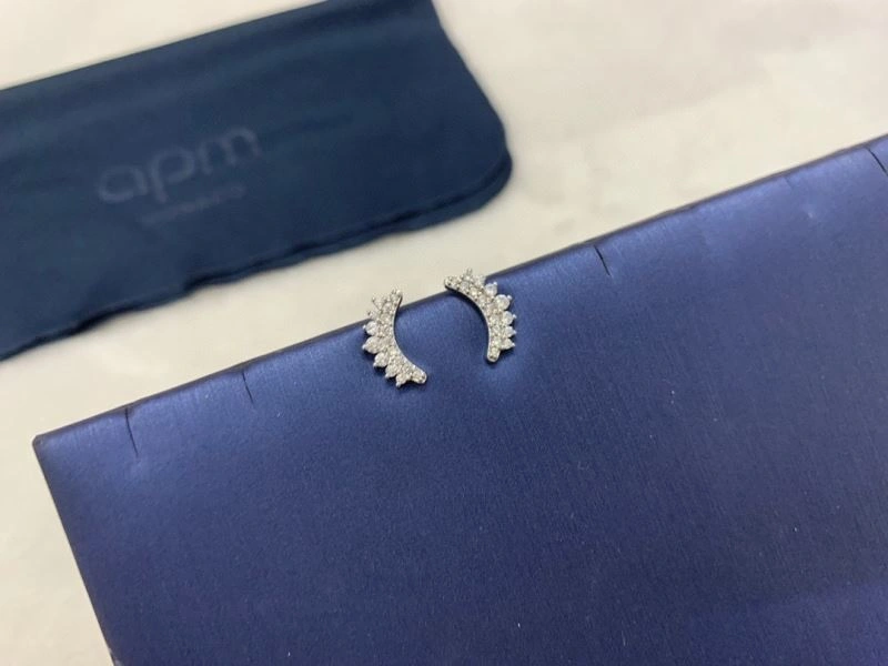 Apm Earrings Snug 215413