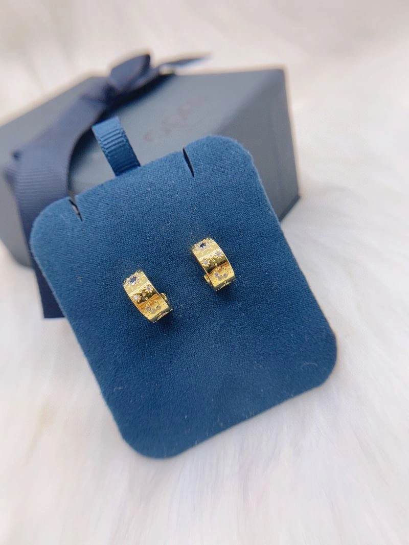 Versatile Apm Earrings 215355