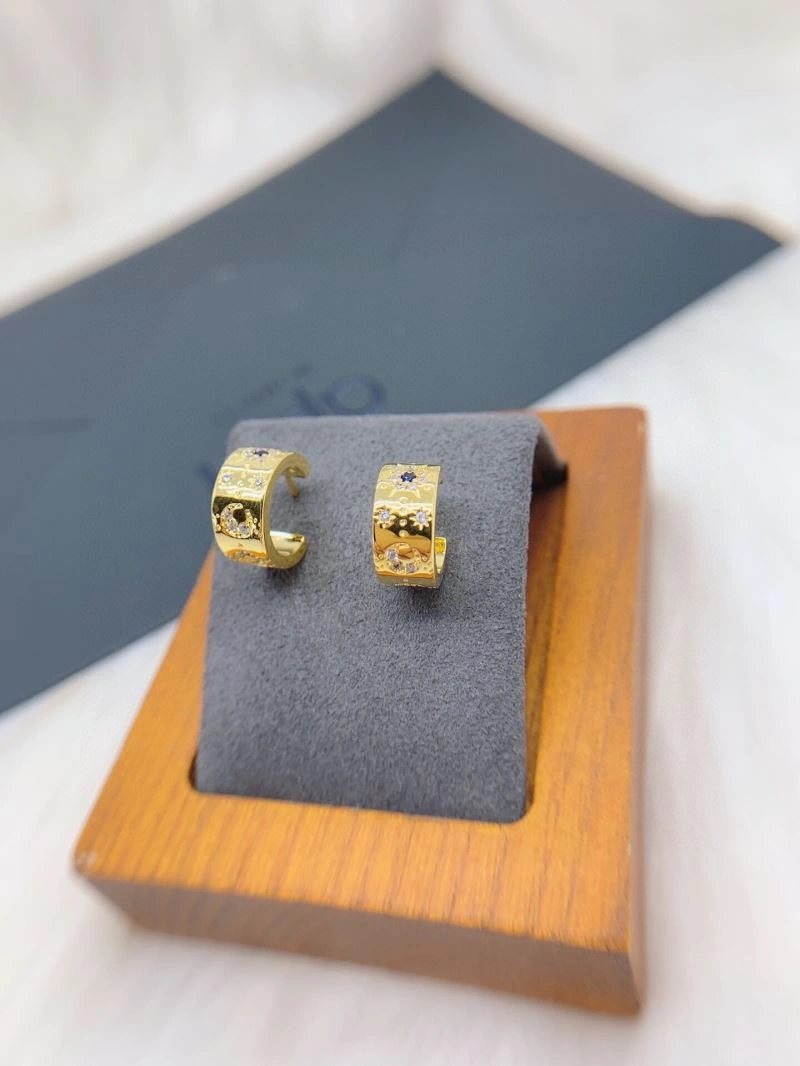Versatile Apm Earrings 215355