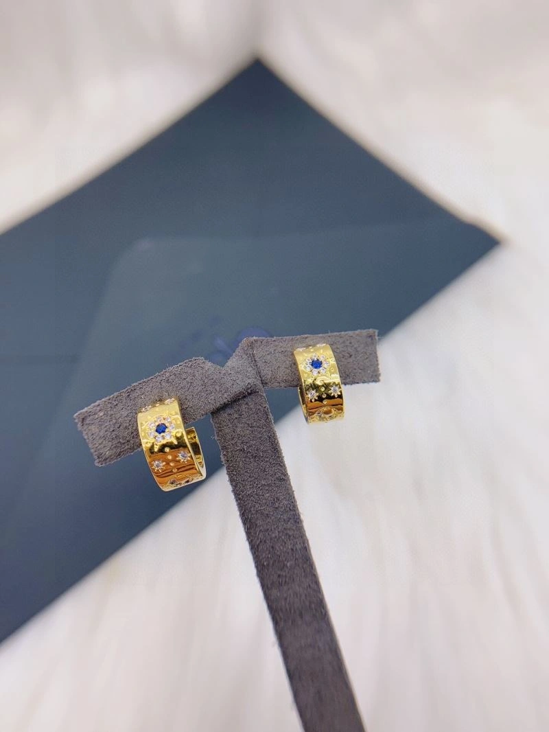 Versatile Apm Earrings 215355