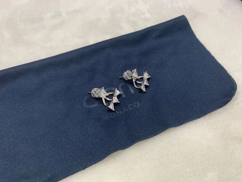 Neat Apm Earrings 215289