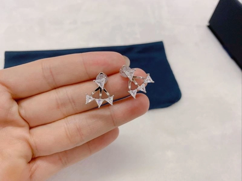 Neat Apm Earrings 215289
