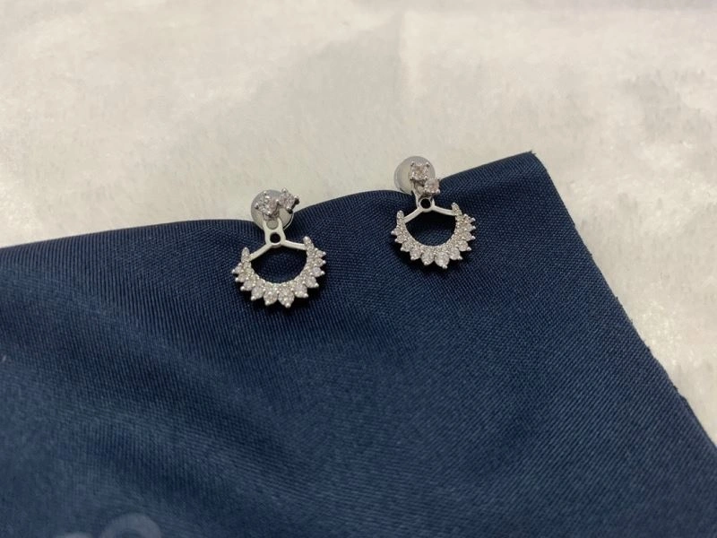Apm Earrings Snug 215310