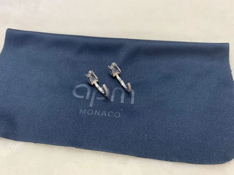 Apm Earrings MoistureWicking 215281