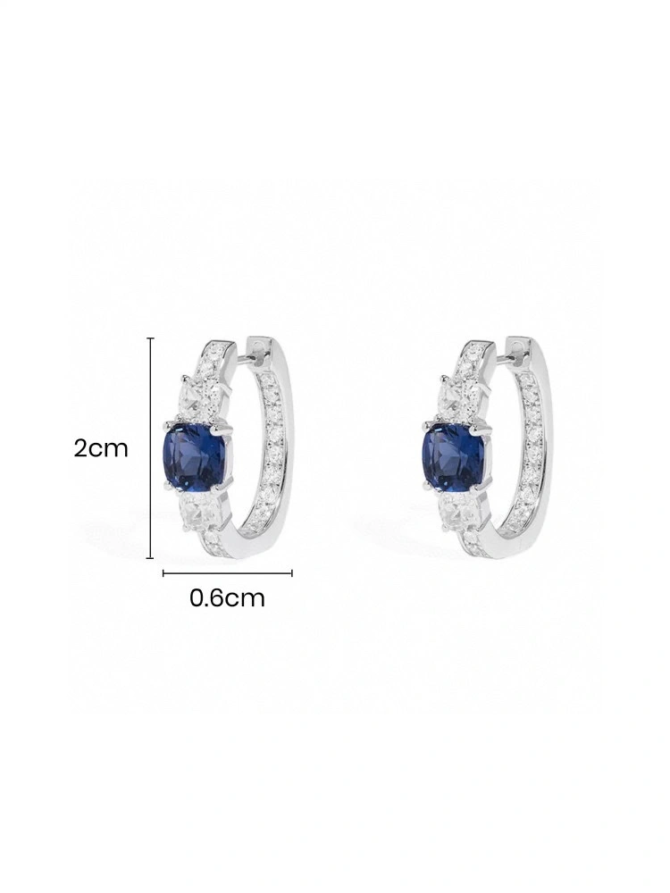 Reliable Apm Earrings 215294
