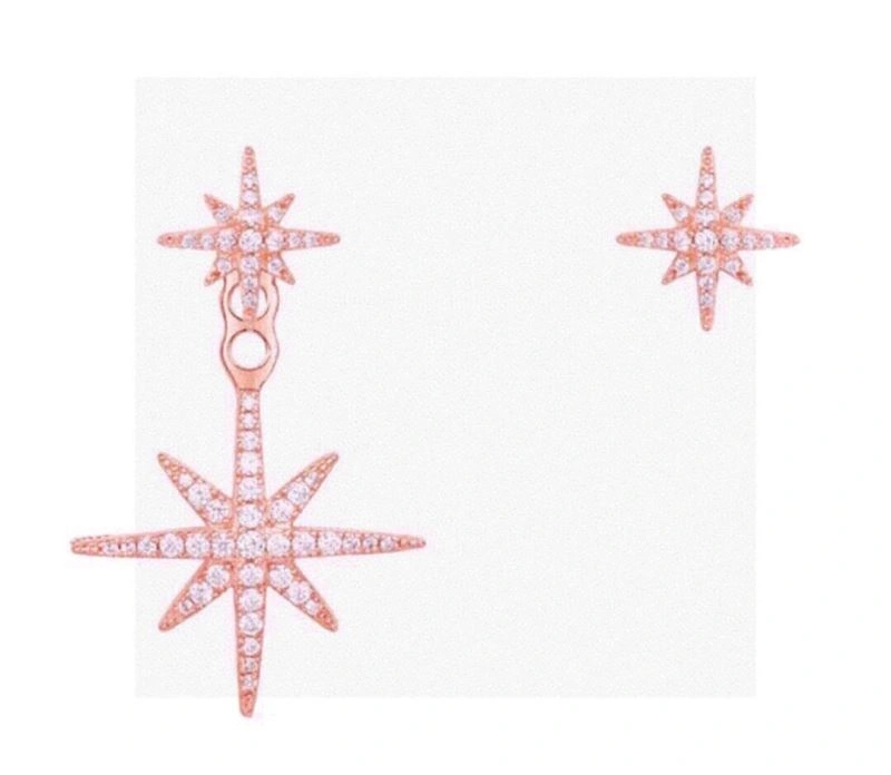 Chic Apm Earrings 215261