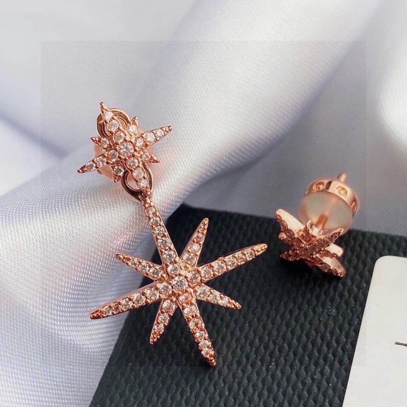Chic Apm Earrings 215261