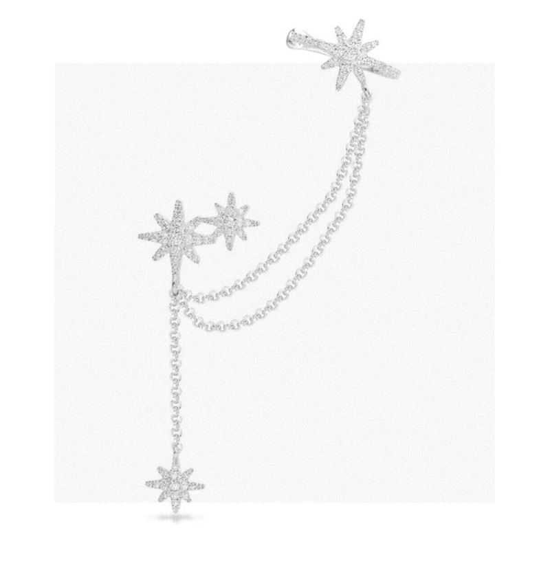 Compact Apm Earrings 215268