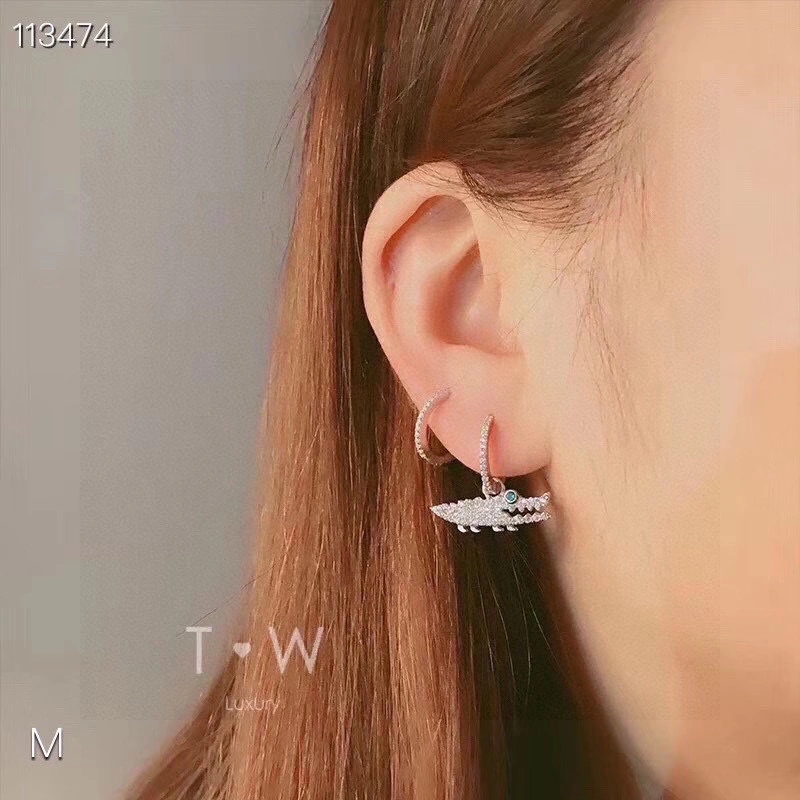 SmartChoice Apm Earrings 215255
