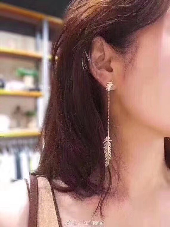 Premium Apm Earrings 215252