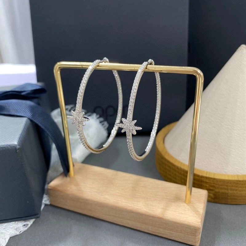 Apm Earrings Lightweight 215231