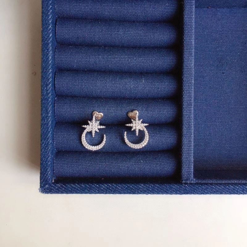 TravelReady Apm Earrings 215239