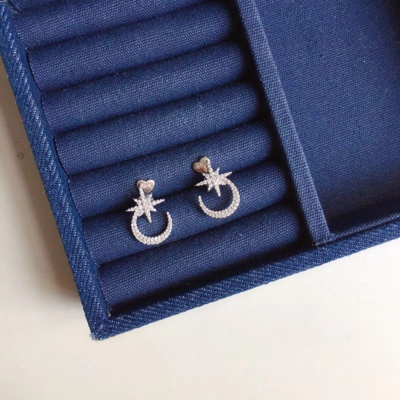 TravelReady Apm Earrings 215239