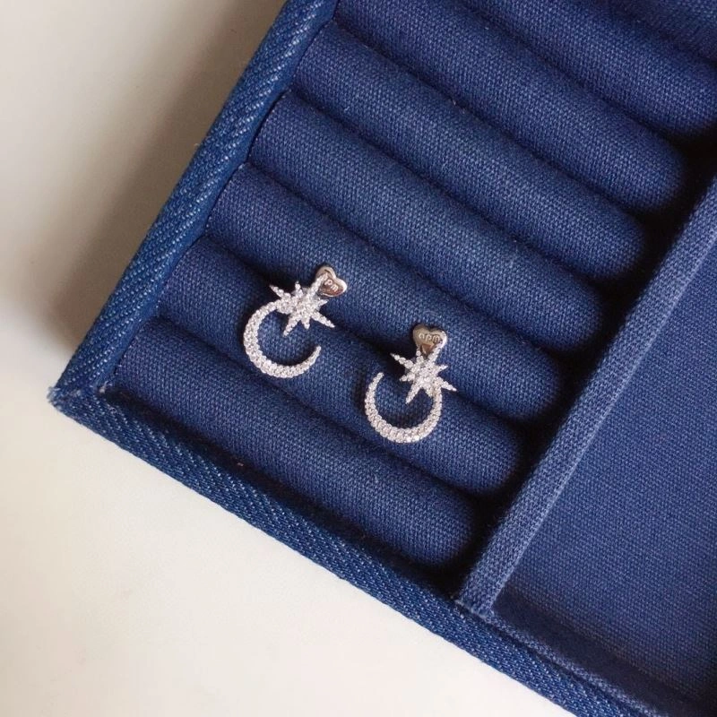 TravelReady Apm Earrings 215239