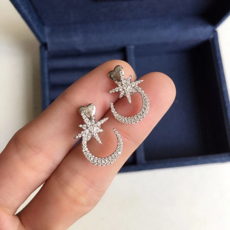 TravelReady Apm Earrings 215239
