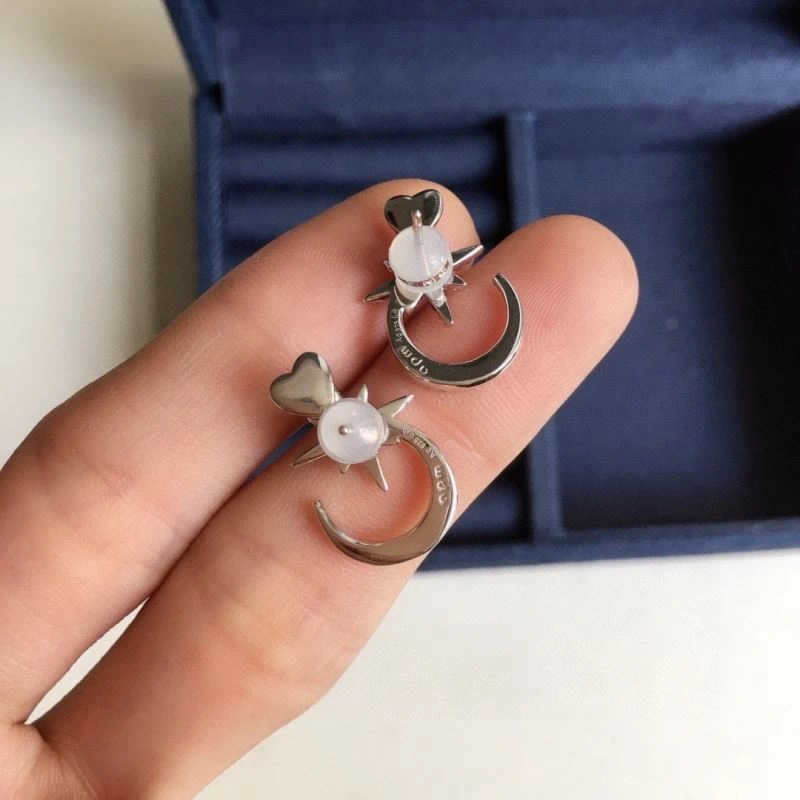 TravelReady Apm Earrings 215239