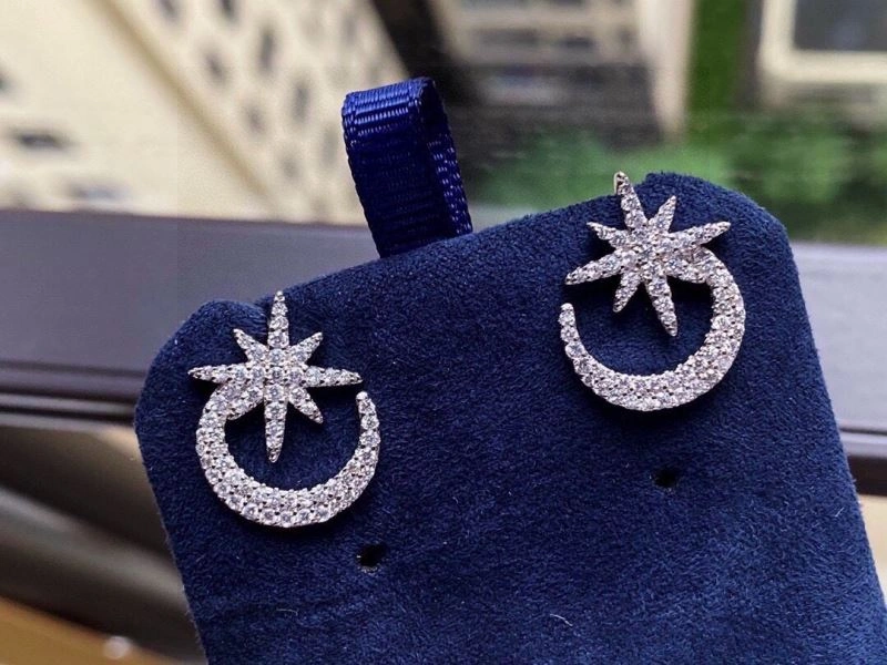 Trendsetting Apm Earrings 215228