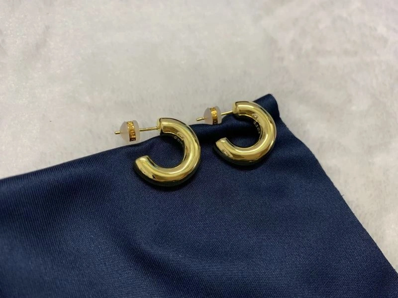 WellDesigned Apm Earrings 215199