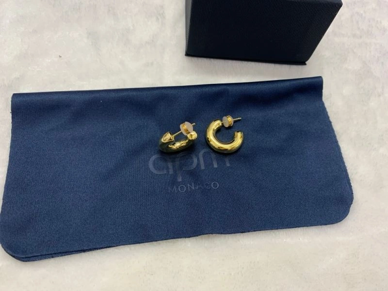 WellDesigned Apm Earrings 215199