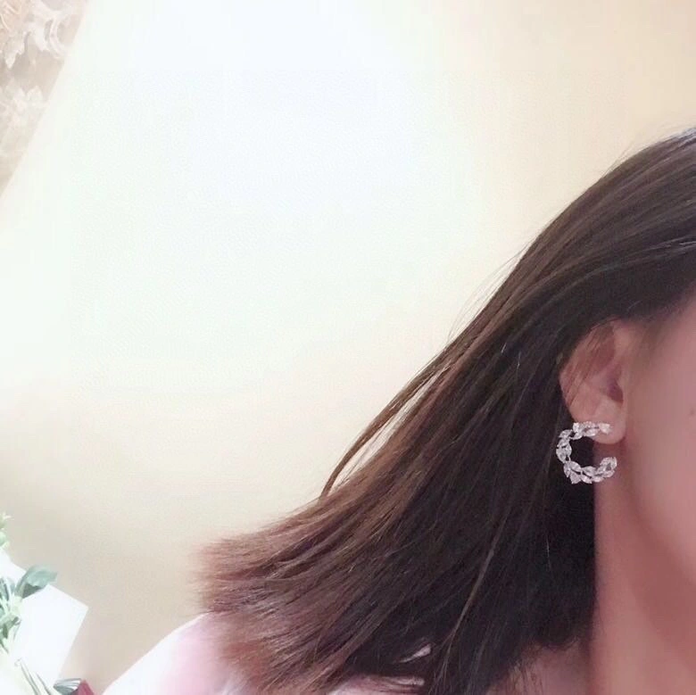 Stretchable Apm Earrings 215201