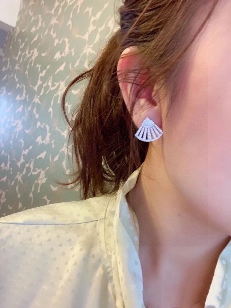 TravelReady Apm Earrings 215093