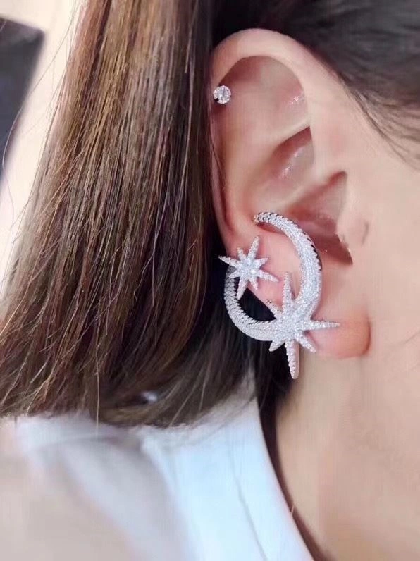 Apm Earrings FlexibleFit 215036