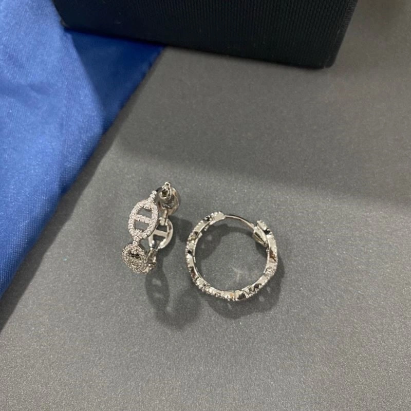 Versatile Apm Earrings 215042