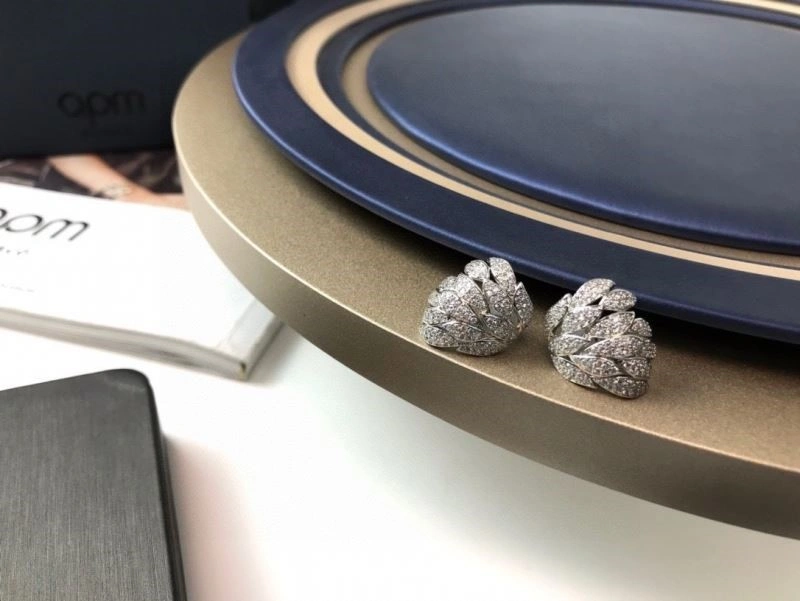 Apm Earrings Supportive 215046