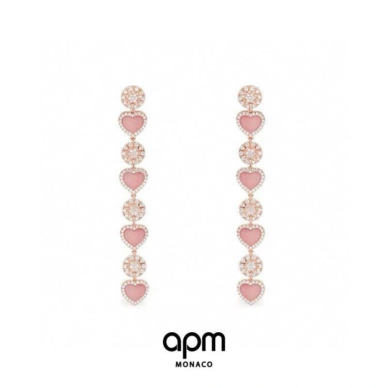 Apm Earrings GoAnywhere 215059