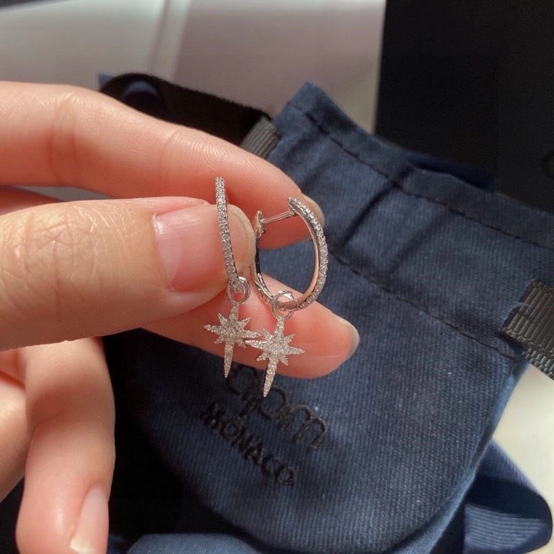 AllSeason Apm Earrings 215037