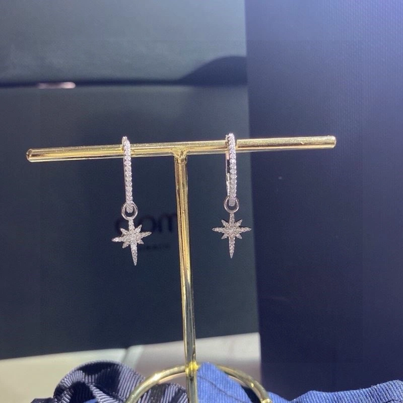 AllSeason Apm Earrings 215037