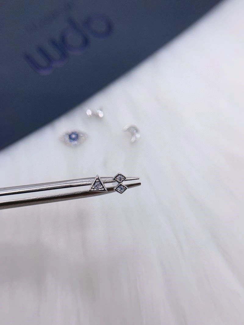 QuickDry Apm Earrings 215031