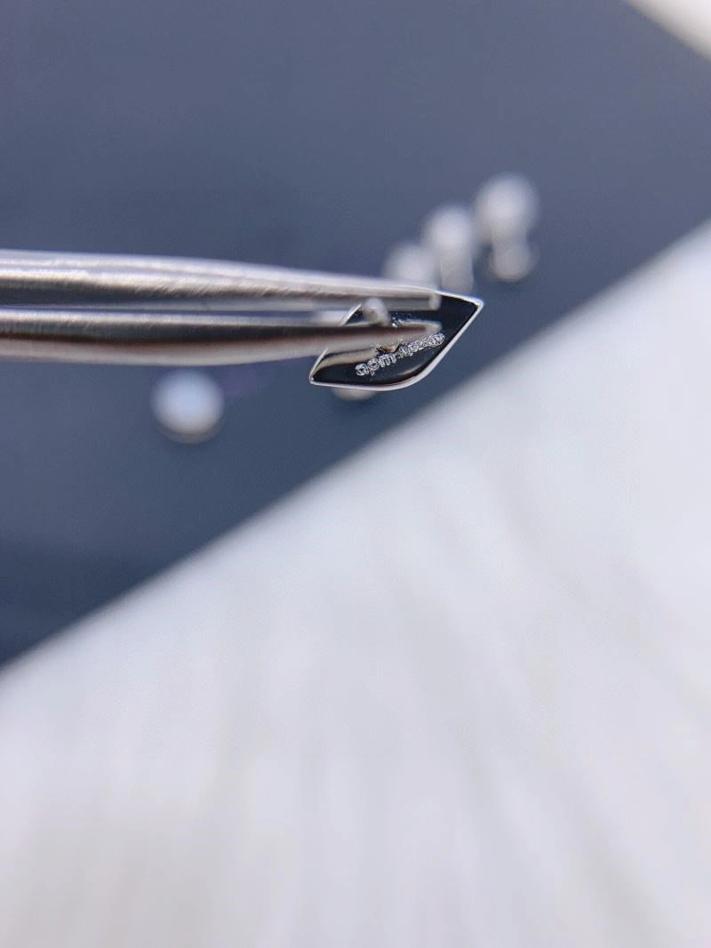QuickDry Apm Earrings 215031