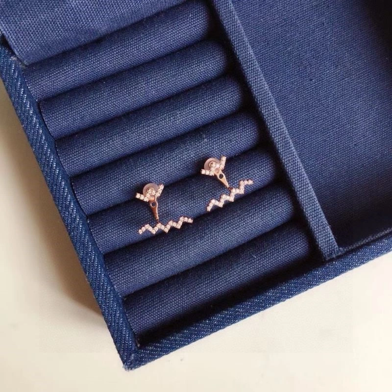 Apm Earrings Unique 215049