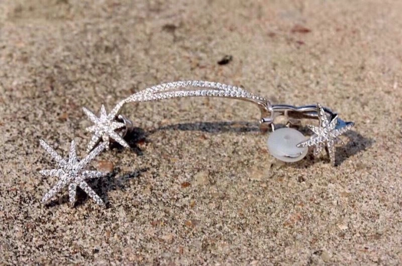 Supportive Apm Earrings 215026