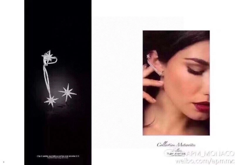 Supportive Apm Earrings 215026