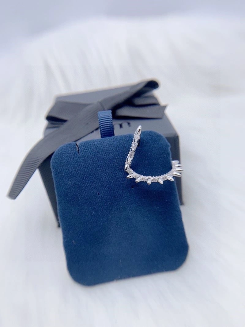Apm Earrings Stylish 215019