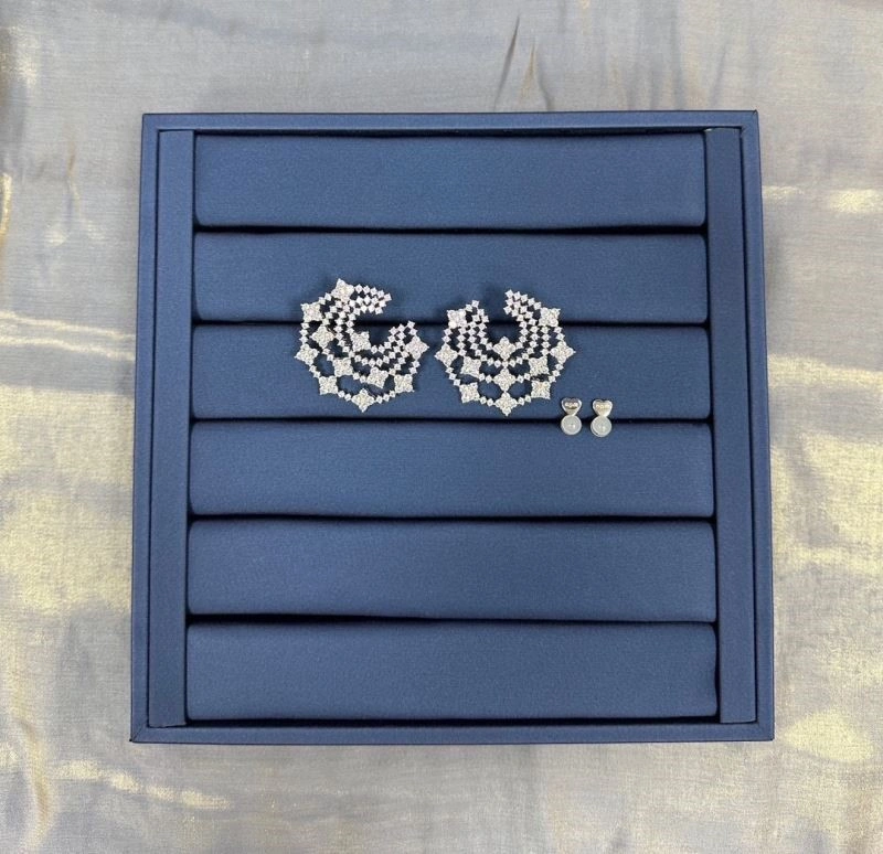Apm Earrings Neat 215017