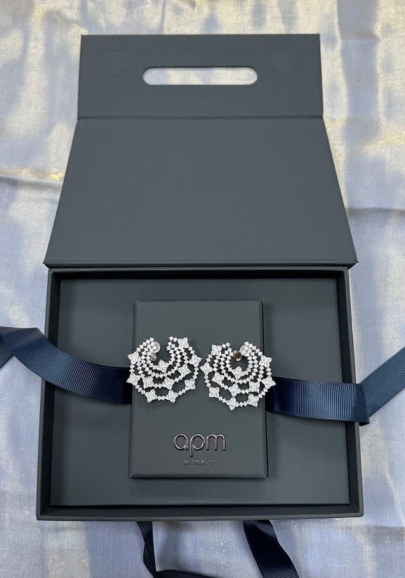 Apm Earrings Neat 215017