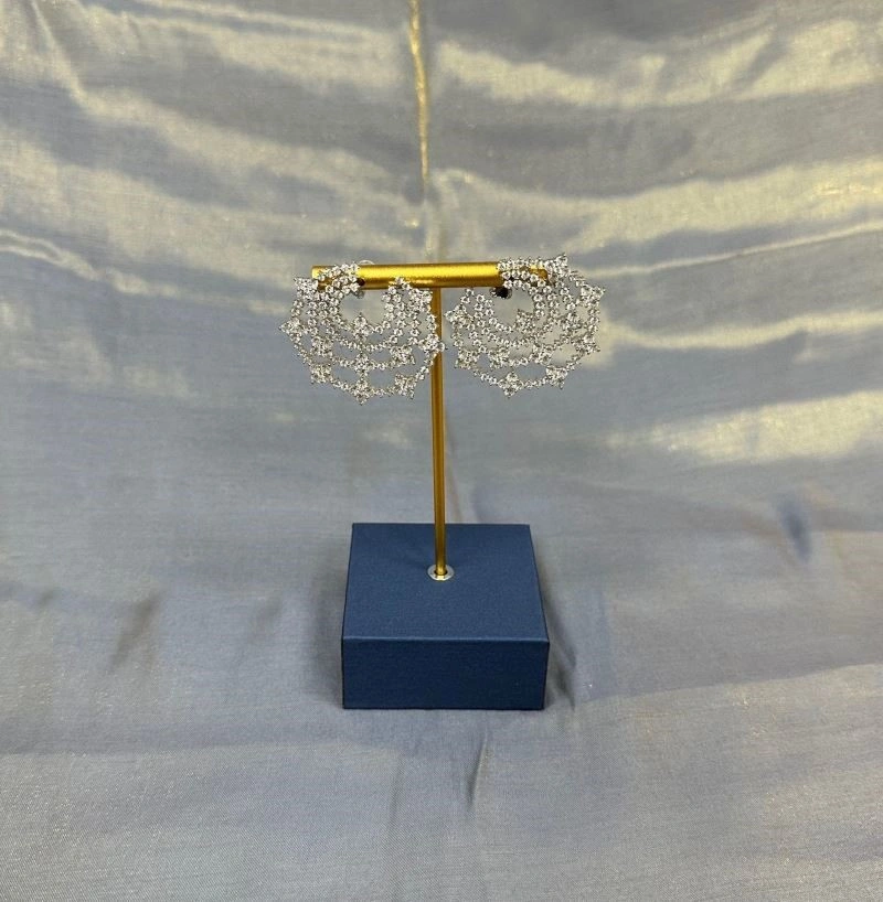 Apm Earrings Neat 215017