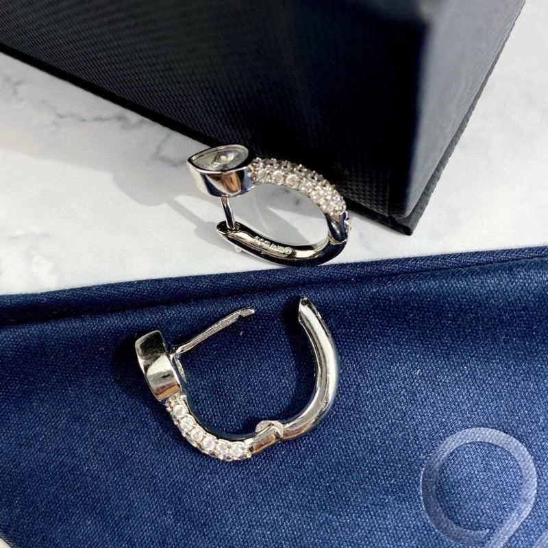 Apm Earrings Resilient 215020
