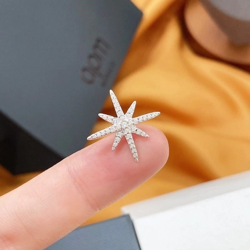 Apm Earrings Efficient 215006