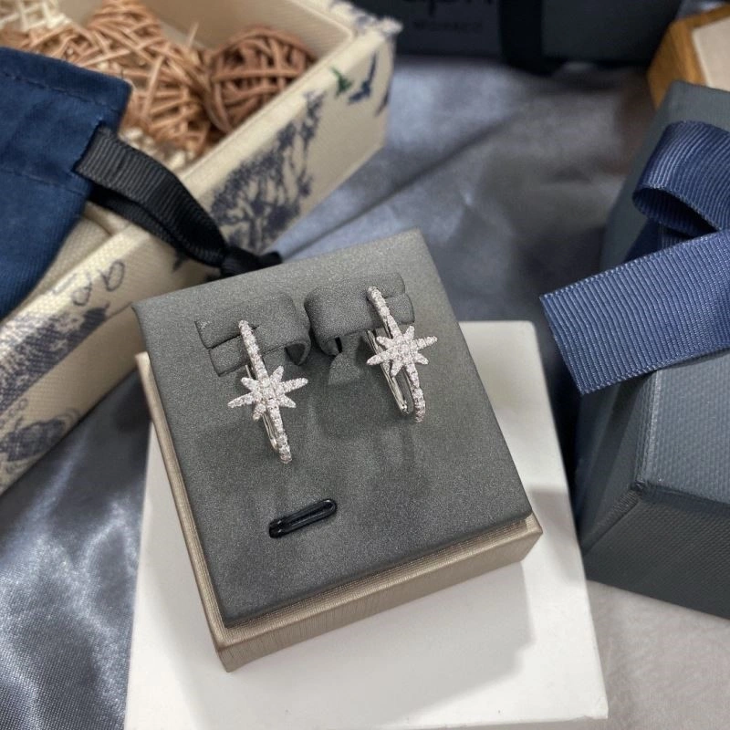 Apm Earrings TechFriendly 214931