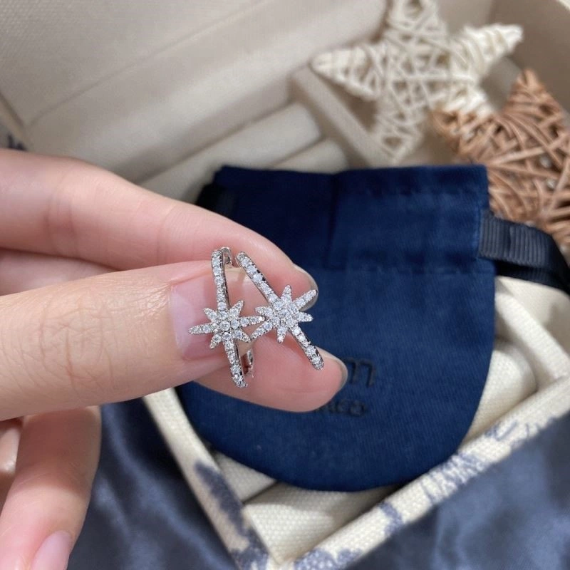 Apm Earrings TechFriendly 214931