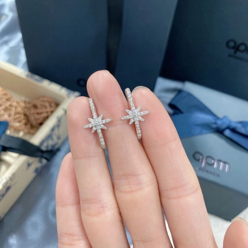 Apm Earrings TechFriendly 214931