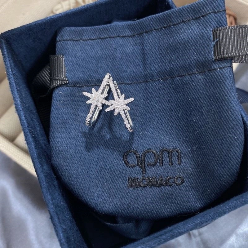 Apm Earrings TechFriendly 214931
