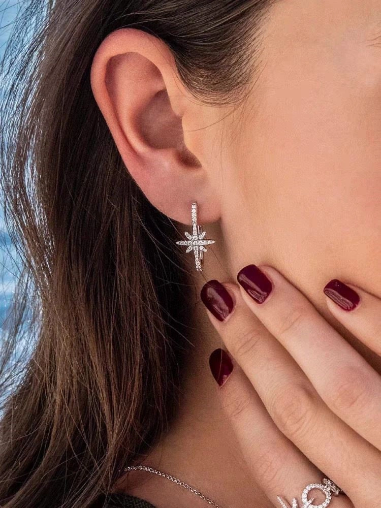 Apm Earrings TechFriendly 214931