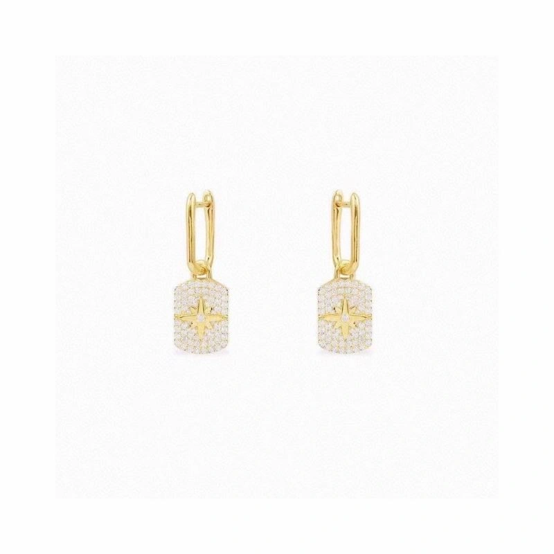 SmoothTexture Apm Earrings 214930