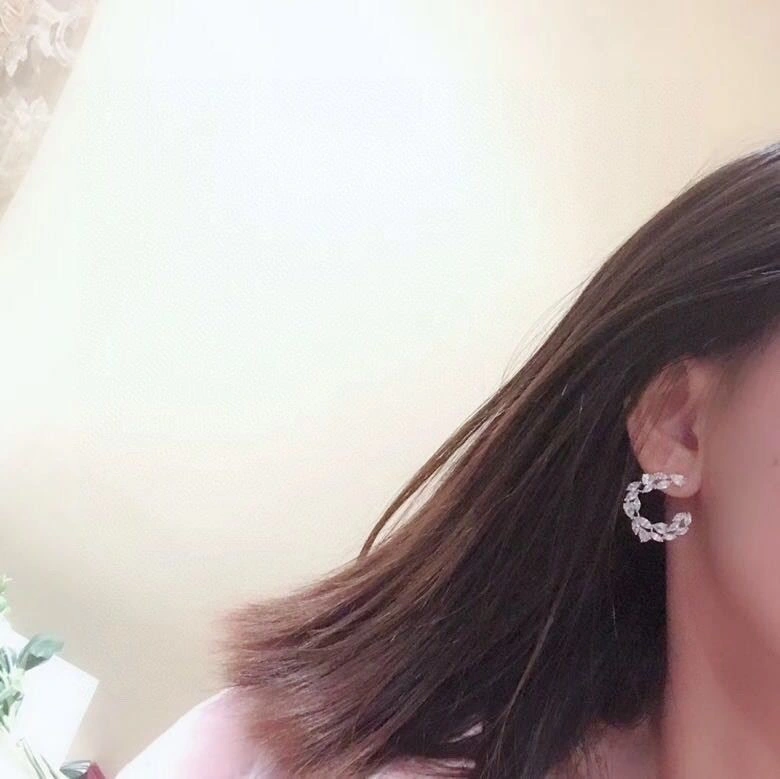 HighQuality Apm Earrings 214920